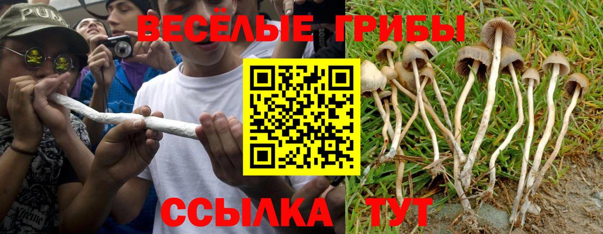 Псилоцибиновые грибы GOLDEN TEACHER  даркнет сайт  Богородск  Вход с VPN 